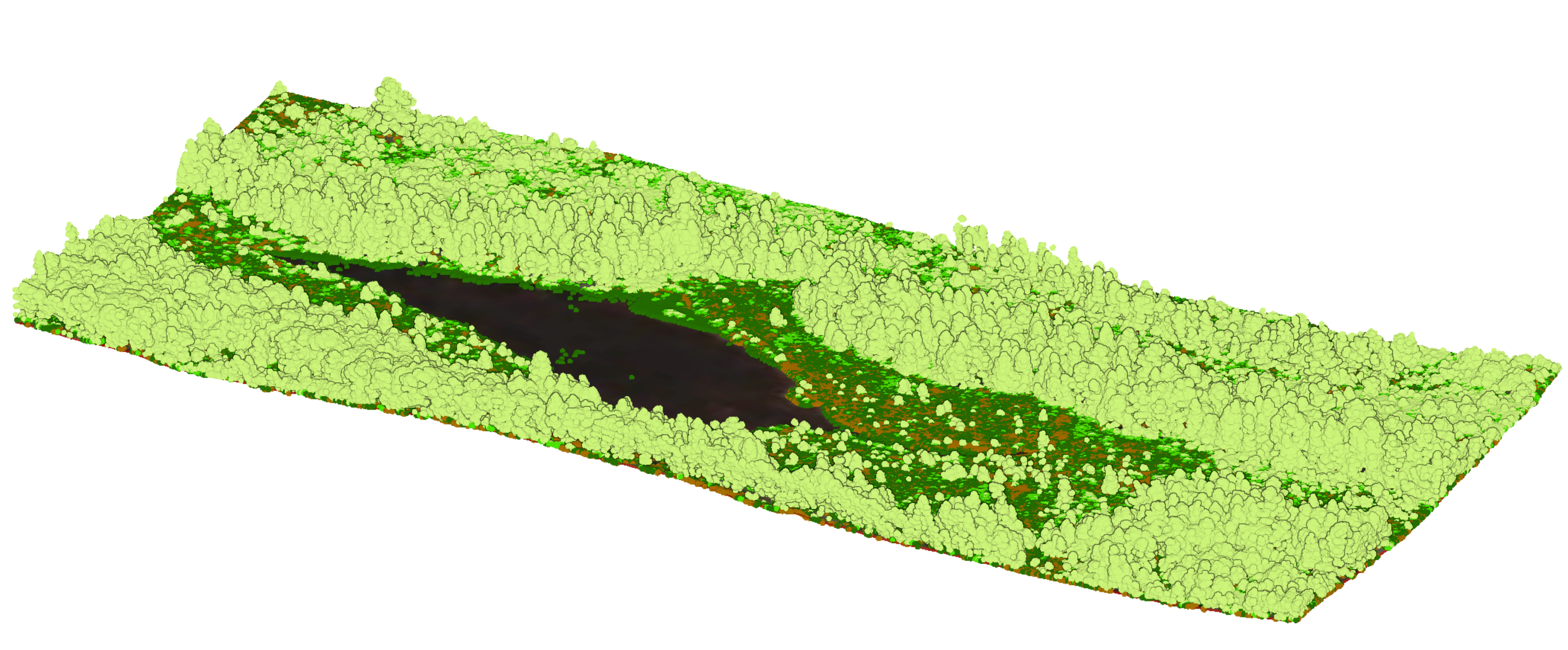 LiDAR Vegetation Change Analysis